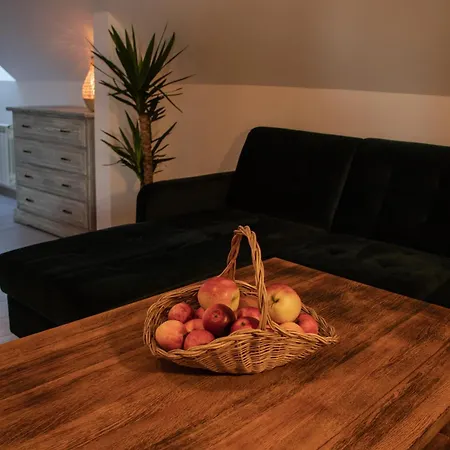 Agroturystyka „Miedzy Polami” Zalewo  Exterior foto