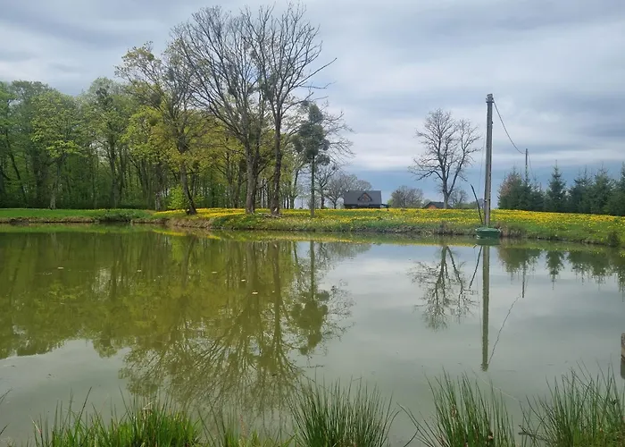 Agroturystyka „Miedzy Polami”